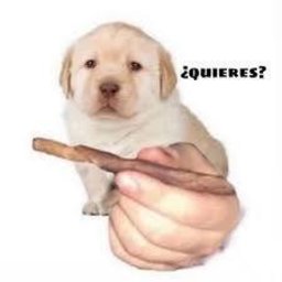 quieres?