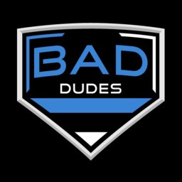 Bad Dudes