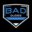 Bad Dudes