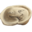 Pelmenis
