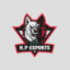 H.P ESPORTS