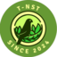 T-NST VL