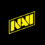 Natus Vincere PUBG