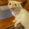 zr-
