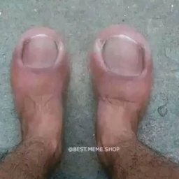 WlePAs