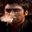 oktay#8