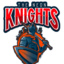 THE NEON KNIGHTS_