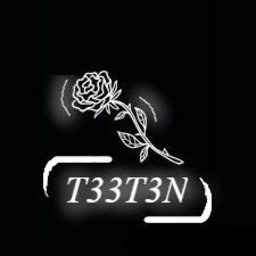T33T3N
