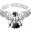 Sky Walkers eSports