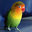 ASH69