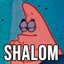 Team Shalom (was deleted at: 2025-01-04T15:55:59.1911747Z)