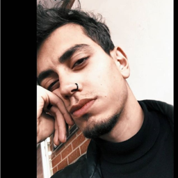 netron_official