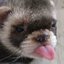 RGX (was deleted at: 2019-01-19T12:11:07.6155531Z)