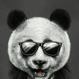 S1wy_
