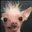 Kiwin