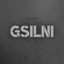 GSilni