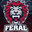 FeralGaming