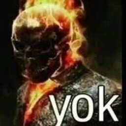 nocturyuslol