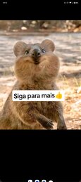 DX_B_pressão