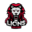 LIONS UNITED