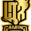 LTK GAMING