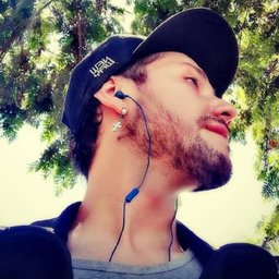 FlawlessVik
