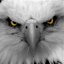El Condor