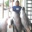 peixaria do fernando (was deleted at: 2022-03-05T20:05:43.2529635Z)