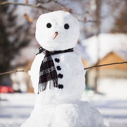 Snowman101