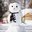 Snowman101