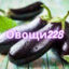 Овощи228 (was deleted at: 2022-12-30T07:02:30.3885438Z)