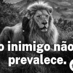 Henrique 762