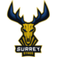 Surrey Stags