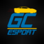 GorvCorp eSport (was deleted at: 2023-04-16T16:44:39.2098820Z)