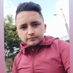 Cristian Penagos Fonseca