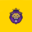 NM Lions