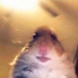 17 Y.O. WONDER KID FandliX