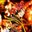 b1rd-