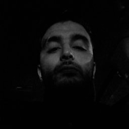 HedyJamil