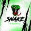 Snake e-sports