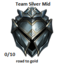 Team Silvers Mid