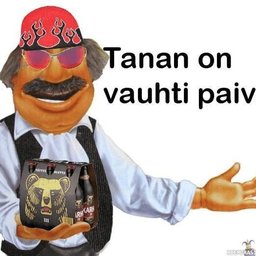 vittulettu