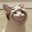 qask