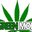 THC_MARINA