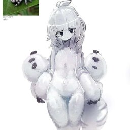 pedriti0