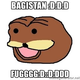 ripmeister