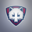 Arctic Foxes Team