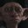 WIN Dobby