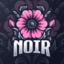 NOIR Aster