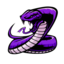 Tolanius